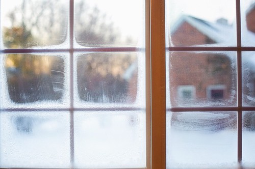 Comment protéger votre logement et limiter les déperditions énergétiques